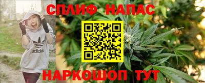 дмт Пушкино