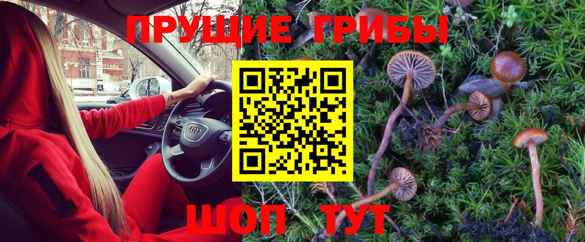 Псилоцибиновые грибы GOLDEN TEACHER Семилуки